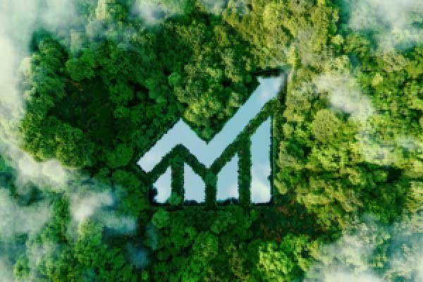 2025年3月20日外汇市场主要货币对上一交易日收盘价